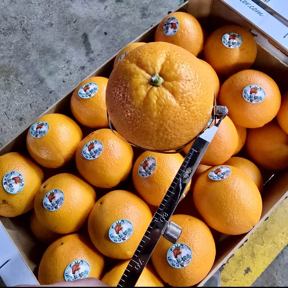 Fruit Quality Inspection Author Fresh