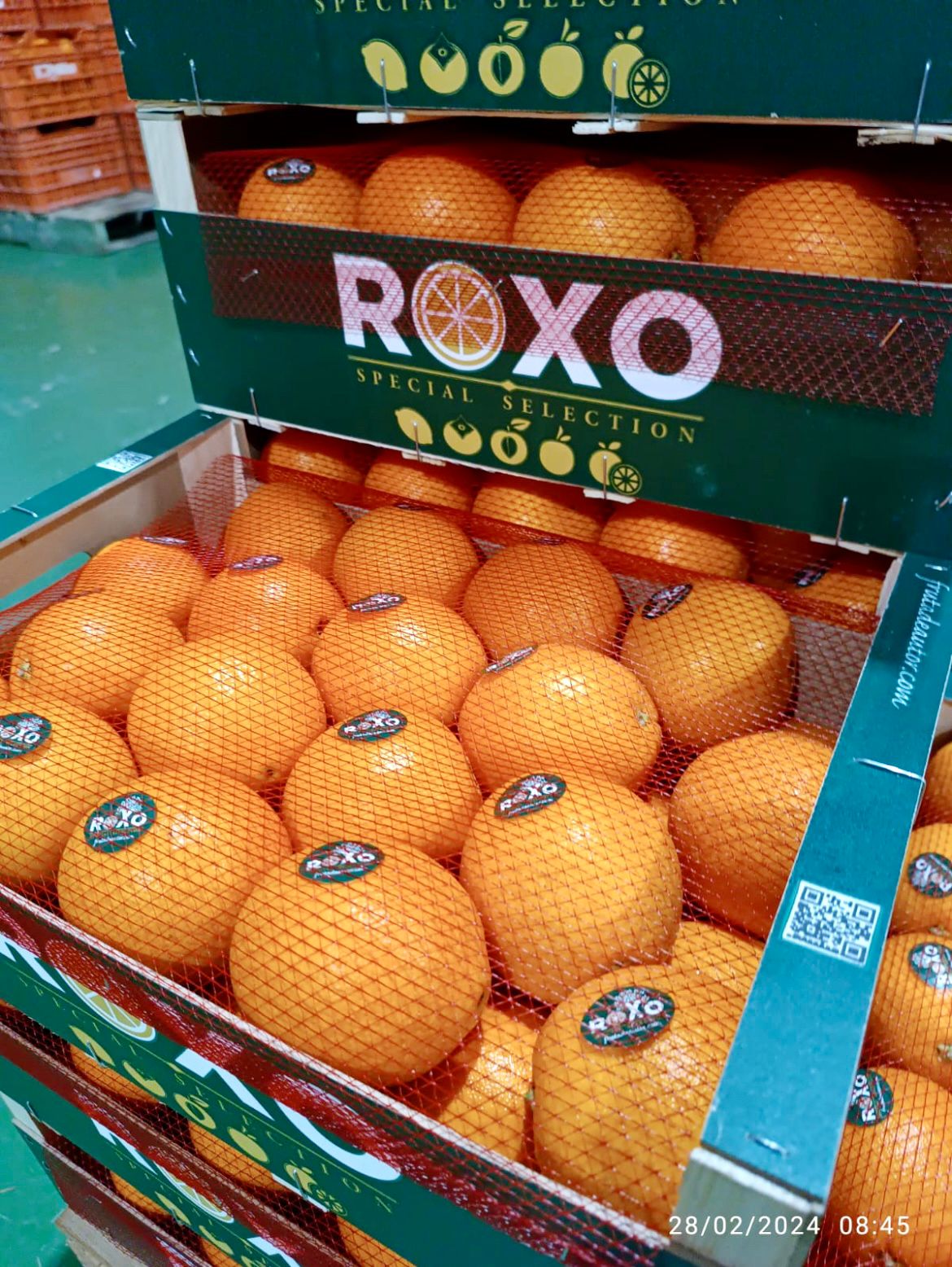 Citrus Anna brand pallets dispatch Author Fresh