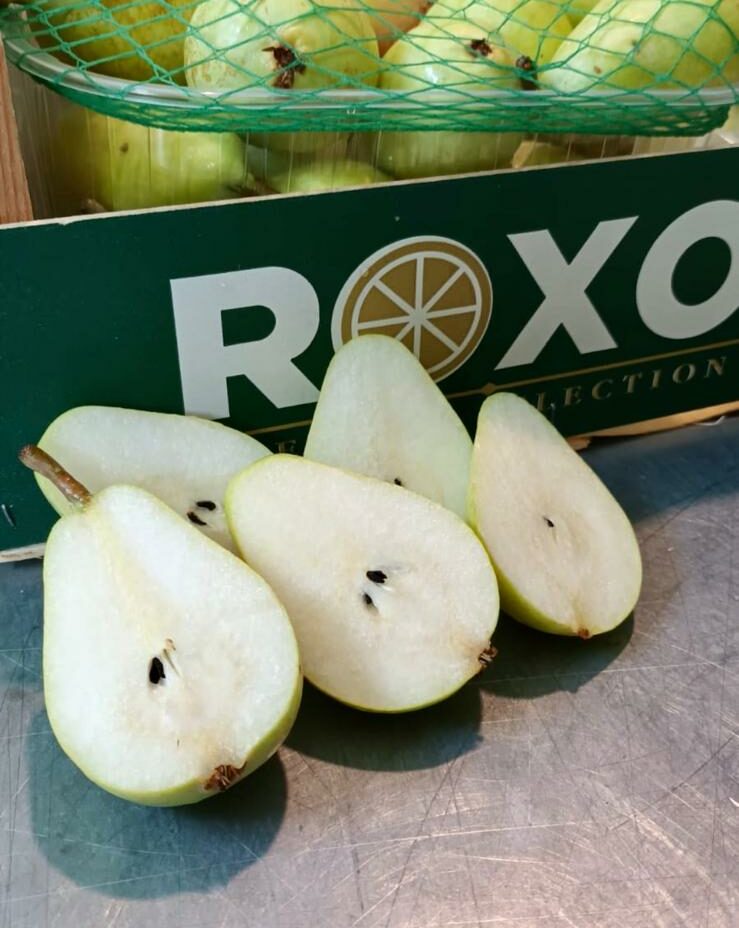 Pears Conference and Ercolini Spain